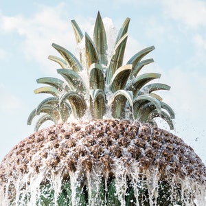 Charleston, South Carolina Photography