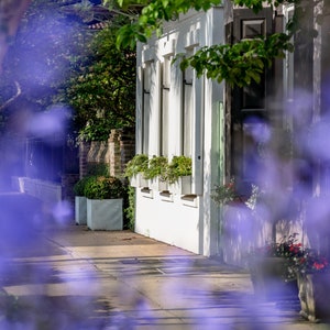 Charleston, South Carolina Photography