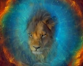 Dana image