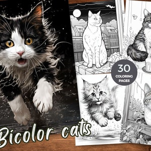Bicolor cats Coloring Book adorable feline companions Coloring Pages Printable whisker wonderland Grayscale coloring Instant Download PDF