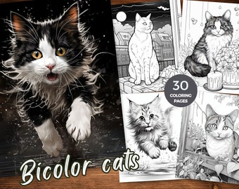 Bicolor cats Coloring Book adorable feline companions Coloring Pages Printable whisker wonderland Grayscale coloring Instant Download PDF