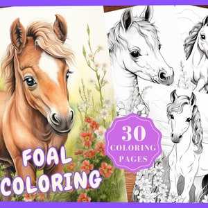 Foal Coloring Pages of Horse for Adult Coloring Book, Printable Horse Coloring Sheet, Horse Pictures Coloring Pages Instant Download PDF