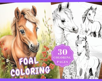 Foal Coloring Pages of Horse for Adult Coloring Book, Printable Horse Coloring Sheet, Horse Pictures Coloring Pages Instant Download PDF