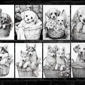 May include: A set of eight black and white illustrations of puppies in baskets. Each illustration features two puppies of different breeds, including a husky, a dalmatian, and a poodle.