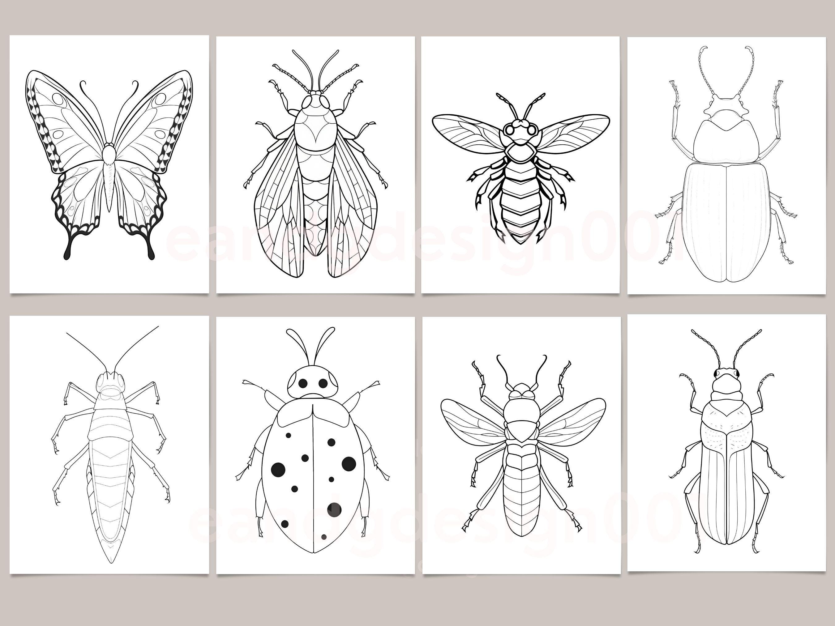 Insect and Bugs Coloring Sheets, Nature Coloring Pages, Insect Coloring ...