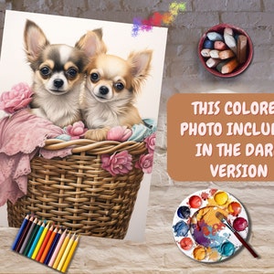 May include: Two brown and white chihuahua puppies sitting in a wicker basket with pink fabric and pink flowers. The basket is on a white background.