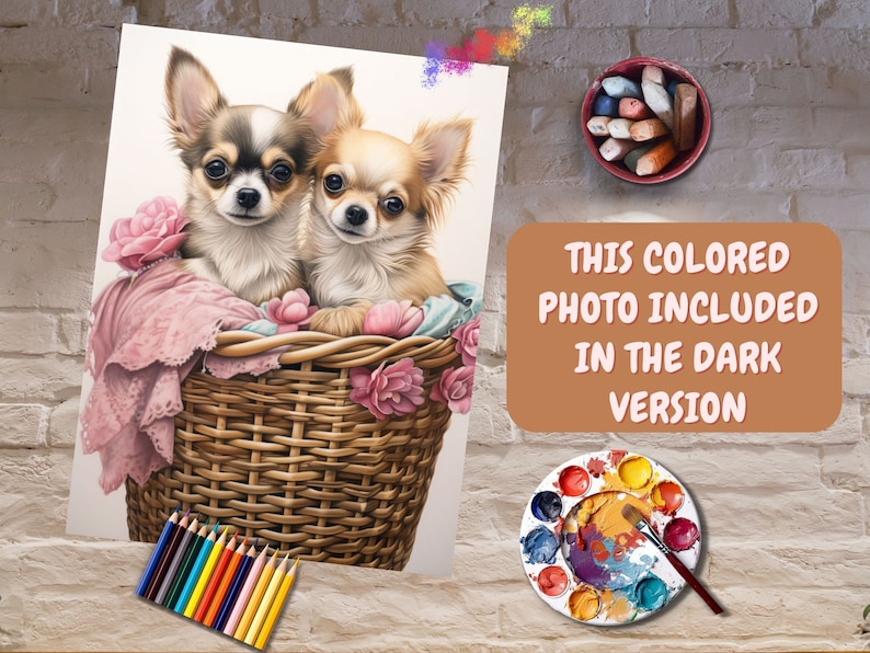 May include: Two brown and white chihuahua puppies sitting in a wicker basket with pink fabric and pink flowers. The basket is on a white background.