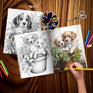 May include: A coloring book with three illustrations of dogs in flower pots. The first page shows a black and white illustration of a beagle in a flower pot. The second page shows a black and white illustration of two dachshunds in a flower pot. The third page shows a colored illustration of two dogs in a flower pot.