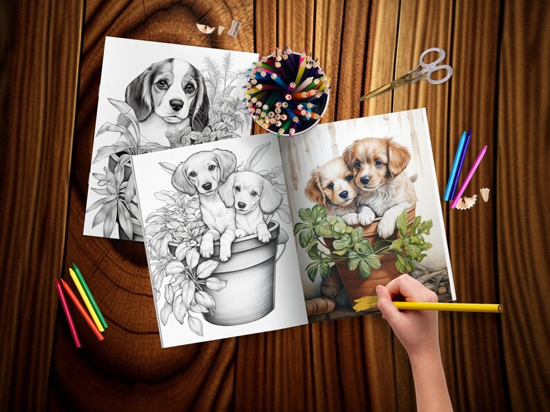 May include: A coloring book with three illustrations of dogs in flower pots. The first page shows a black and white illustration of a beagle in a flower pot. The second page shows a black and white illustration of two dachshunds in a flower pot. The third page shows a colored illustration of two dogs in a flower pot.