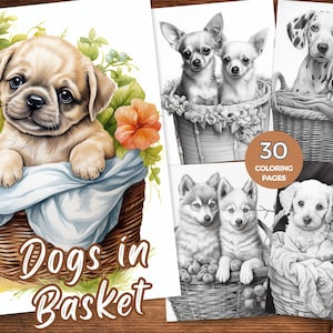 Könnte beinhalten: Ein Malbuch mit 30 Seiten, auf denen süße Hunde in Körben zu sehen sind. Das Cover zeigt einen Mops-Welpen in einem Weidenkorb mit Blumen. Der Titel des Buches lautet "Dogs in Basket".