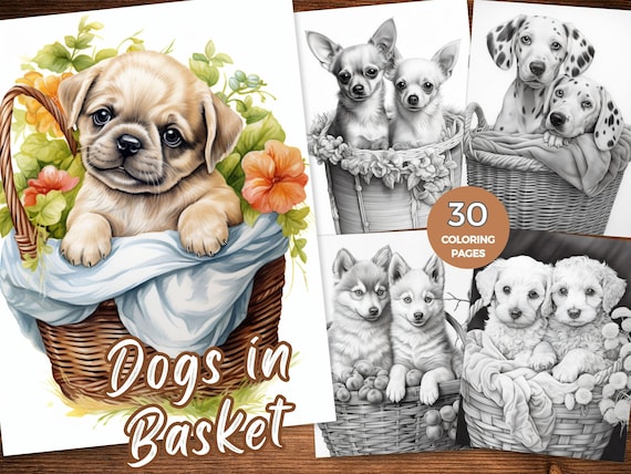 Dogs in Baskets coloring Pages Puppy Coloring sheets Printable Coloring Pages of Puppies Grayscale Coloring Book Adult Coloring Dogs PDF
