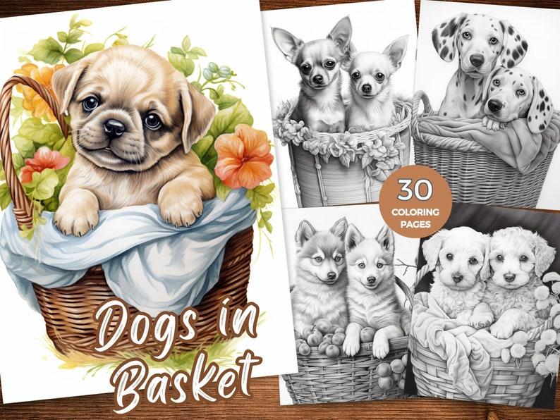 May include: A coloring book with 30 pages featuring adorable dogs in baskets. The cover shows a pug puppy in a wicker basket with flowers. The title of the book is "Dogs in Basket".