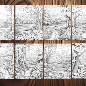 May include: A set of eight black and white line drawings of various nature scenes. Each drawing features trees, paths, and other natural elements. The drawings are perfect for coloring or use as inspiration for art projects.