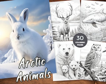 Druckbare Ausmalbilder Tiere der Arktis Malseiten