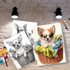 May include: Three black and white drawings of a chihuahua dog in a basket with flowers, and a color painting of a chihuahua dog in a basket with a blue and green blanket.