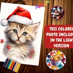 Puede incluir: Un lindo gatito con un gorro de Pap&aacute; Noel rojo con ribete blanco. El gatito tiene pelaje marr&oacute;n y blanco y est&aacute; mirando a la c&aacute;mara. El gatito est&aacute; rodeado de estrellas rojas.