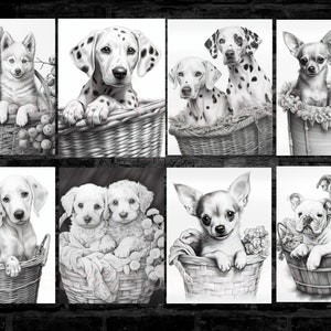 May include: A set of eight black and white pencil drawings of pairs of puppies in baskets. The puppies are various breeds, including Dalmatians, Chihuahuas, Huskies, and Bulldogs.