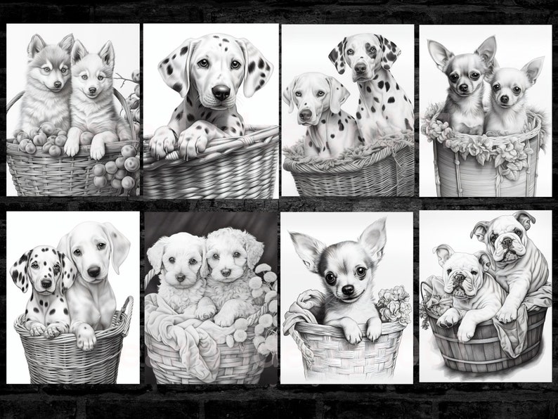 May include: A set of eight black and white pencil drawings of pairs of puppies in baskets. The puppies are various breeds, including Dalmatians, Chihuahuas, Huskies, and Bulldogs.