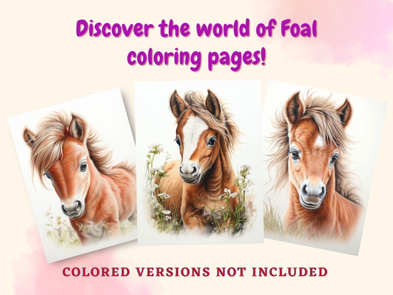 K&ouml;nnte beinhalten: Drei Schwarzwei&szlig;-Zeichnungen von Fohlen. Die Fohlen blicken dem Betrachter entgegen. Der Text "COLORED VERSIONS NOT INCLUDED" befindet sich am unteren Rand des Bildes.