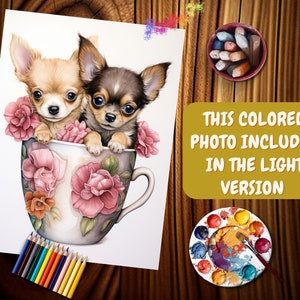 May include: Two chihuahua puppies, one brown and white and one black and white, are sitting in a teacup with pink and orange flowers. The teacup is on a white background.