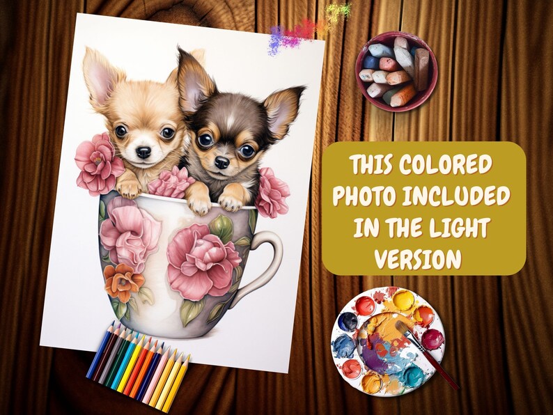 May include: Two chihuahua puppies, one brown and white and one black and white, are sitting in a teacup with pink and orange flowers. The teacup is on a white background.