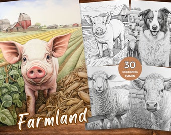 Farmland Coloring Pages Rural Life Coloring Book Agricultural Charm Coloring Page Countryside coloring book Instant Download Printable PDF