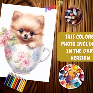 May include: A brown and white Pomeranian puppy sits in a teacup with pink and blue floral designs. The puppy is looking at the camera with its tongue sticking out.