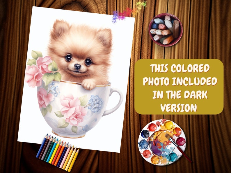 May include: A brown and white Pomeranian puppy sits in a teacup with pink and blue floral designs. The puppy is looking at the camera with its tongue sticking out.