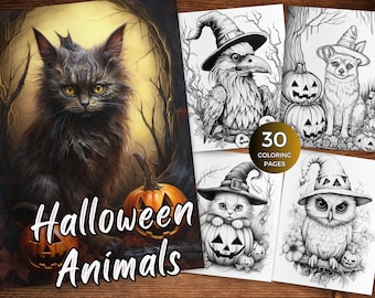 May include: A coloring book with 30 pages featuring Halloween-themed animals. The cover shows a black cat with a pumpkin in the foreground. The title "Halloween Animals" is written in white letters.