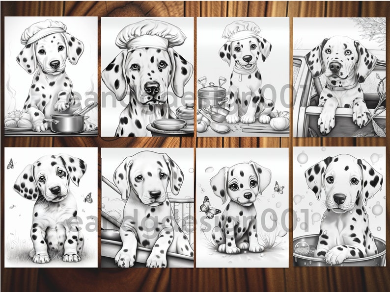 Op de afbeelding: Acht zwart-wit illustraties van Dalmati&euml;rpups in verschillende poses. De pups dragen koksmutsen, zitten in een auto, spelen met bubbels en zitten op een grasveld.