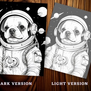 May include: Two illustrations of a dog in an astronaut suit against a space background. One is a dark version with a black background and the other is a light version with a grey background. The text "DARK VERSION" and "LIGHT VERSION" are at the bottom of each image.