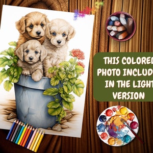 May include: Three adorable brown and white puppies sitting in a blue pot with green plants and pink flowers. The puppies are looking at the camera. This colored photo is included in the light version.