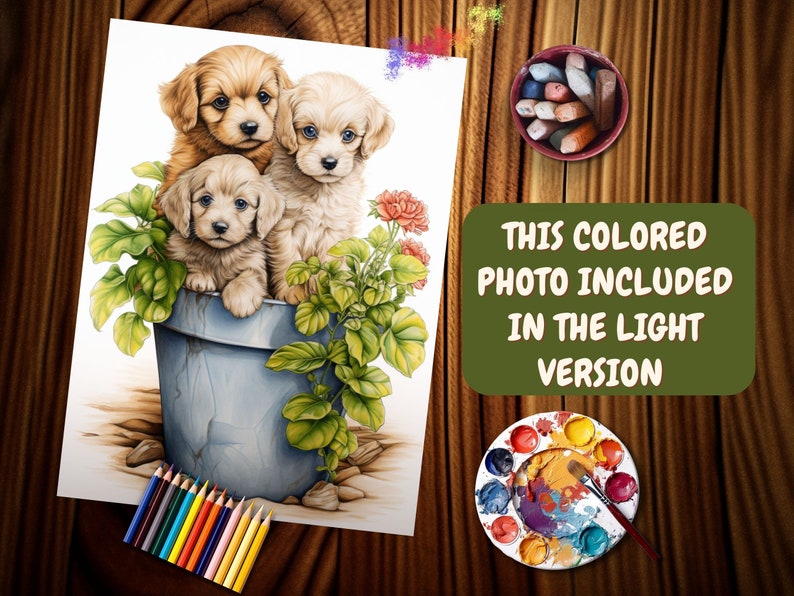 May include: Three adorable brown and white puppies sitting in a blue pot with green plants and pink flowers. The puppies are looking at the camera. This colored photo is included in the light version.