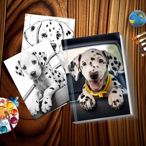 Op de afbeelding: Een zwart-witte Dalmati&euml;r puppy met een gele halsband kijkt uit het raam van een auto. De puppy zit op de achterbank van een auto. De puppy kijkt naar de camera. De puppy glimlacht.