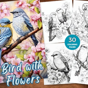 May include: A colouring book with 30 pages featuring black and white illustrations of birds and flowers. The cover shows two blue birds perched on a branch with pink flowers.