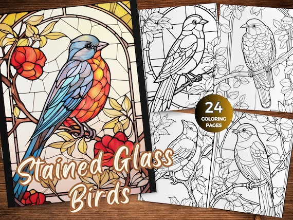 Pájaros  Libro De Colorear Para Mayores: Dibujos Grandes y