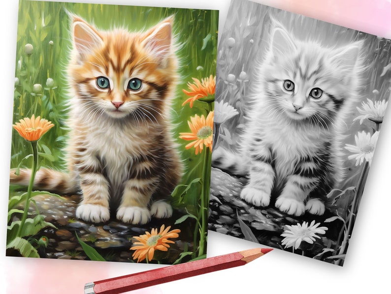 May include: A cute orange and white tabby kitten with blue eyes sits on a rock in a field of green grass and yellow flowers. The kitten is looking at the camera.