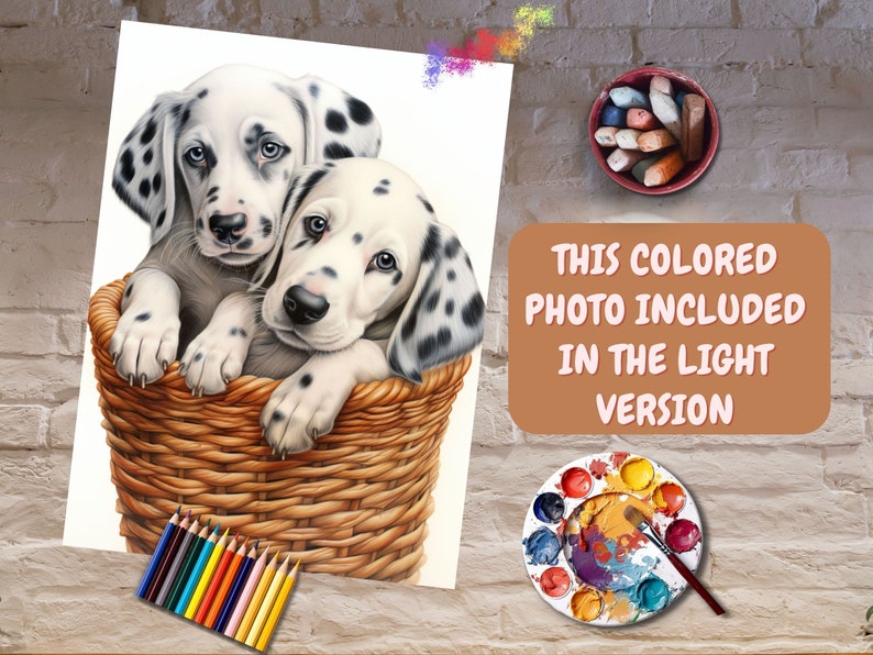 May include: Two Dalmatian puppies sit in a wicker basket. The puppies are looking at the camera. The image is a coloring page with a note that the colored version is included in the light version.
