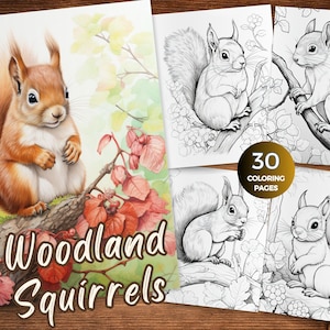 Squirrel Coloring Pages Printable Cute Squirrel Coloring Page Squirrel Coloring Sheet Grayscale Coloring book Printable PDF instant download