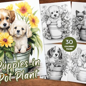 May include: A colouring book with 30 pages featuring adorable puppies in flower pots. The cover shows two puppies, one brown and one white, peeking out of a pot with yellow flowers.
