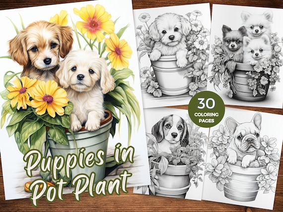 Puppies in Pot Plant coloring Pages Dogs and Puppies Dog coloring sheets Printable Coloring Pages of Puppies Grayscale Coloring Book