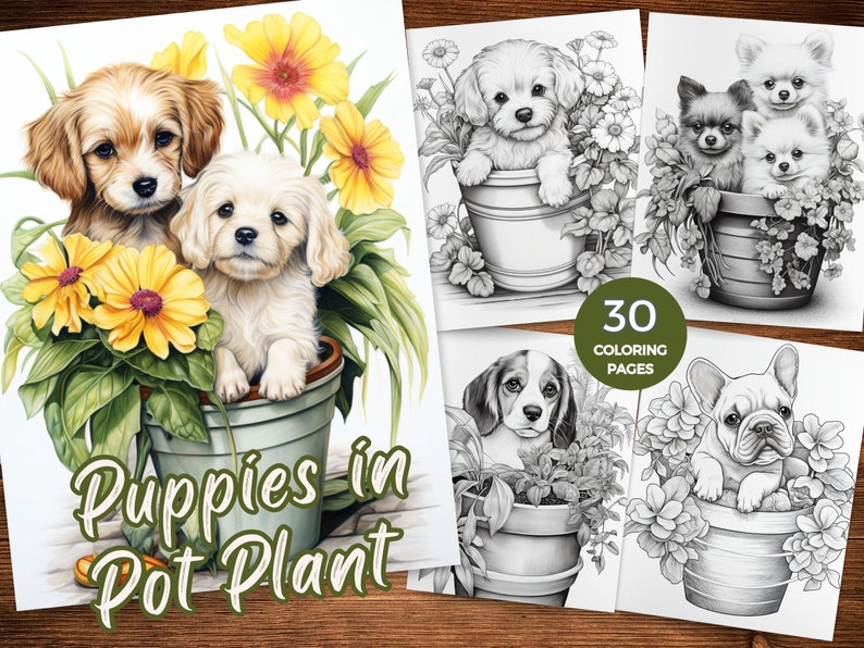 May include: A coloring book with 30 pages featuring adorable puppies in flower pots. The cover shows two puppies, one brown and one white, peeking out of a pot with yellow flowers.