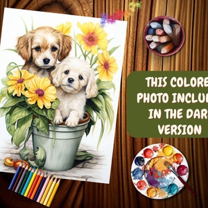 May include: Two adorable puppies, one brown and white, the other white, are sitting in a pot of yellow flowers. The puppies are looking at the camera.