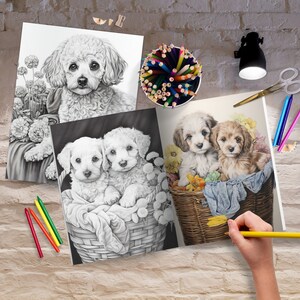 May include: Three black and white coloring pages featuring different dog breeds. The first page shows a poodle sitting in a basket of flowers. The second page shows two small dogs sitting in a basket. The third page shows two dogs sitting in a basket of flowers.