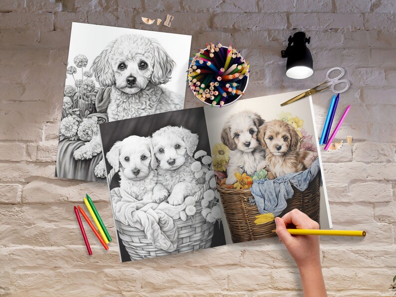 May include: Three black and white coloring pages featuring different dog breeds. The first page shows a poodle sitting in a basket of flowers. The second page shows two small dogs sitting in a basket. The third page shows two dogs sitting in a basket of flowers.