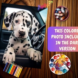Op de afbeelding: Een zwart-witte Dalmati&euml;r puppy zit op de voorstoel van een auto en kijkt naar de camera. De puppy heeft blauwe ogen en draagt een zwarte halsband. Het interieur van de auto is van zwart leer. De afbeelding is een close-up van het gezicht van de puppy.