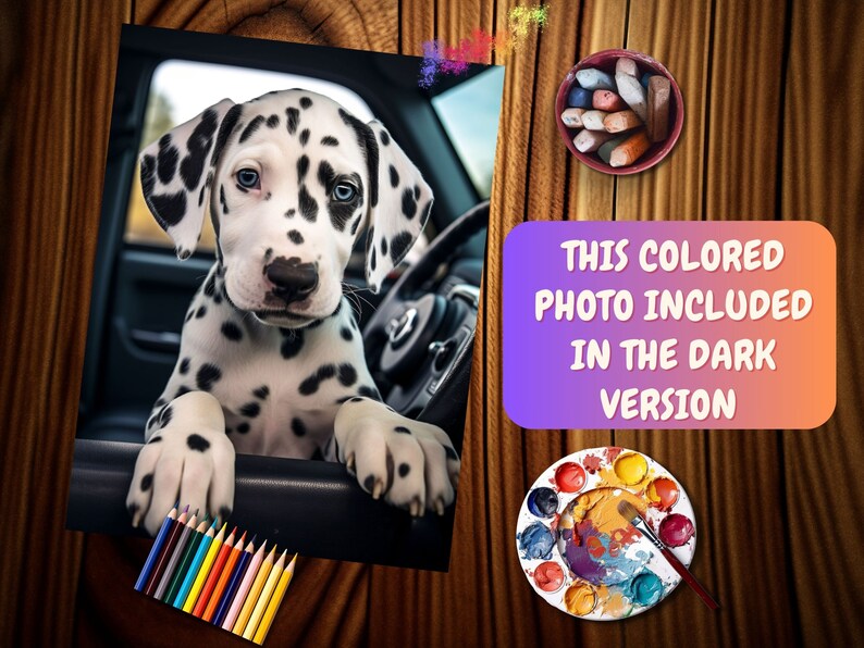 Op de afbeelding: Een zwart-witte Dalmati&euml;r puppy zit op de voorstoel van een auto en kijkt naar de camera. De puppy heeft blauwe ogen en draagt een zwarte halsband. Het interieur van de auto is van zwart leer. De afbeelding is een close-up van het gezicht van de puppy.
