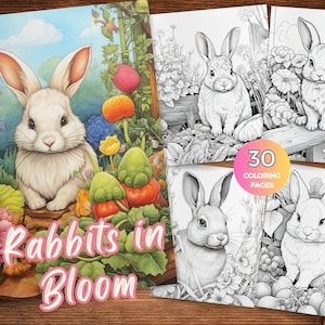 Kaninchen Ausmalbilder Kaninchen Malseite Malseite Kaninchen Malvorlagen Zum Ausdrucken Kaninchen Illustration