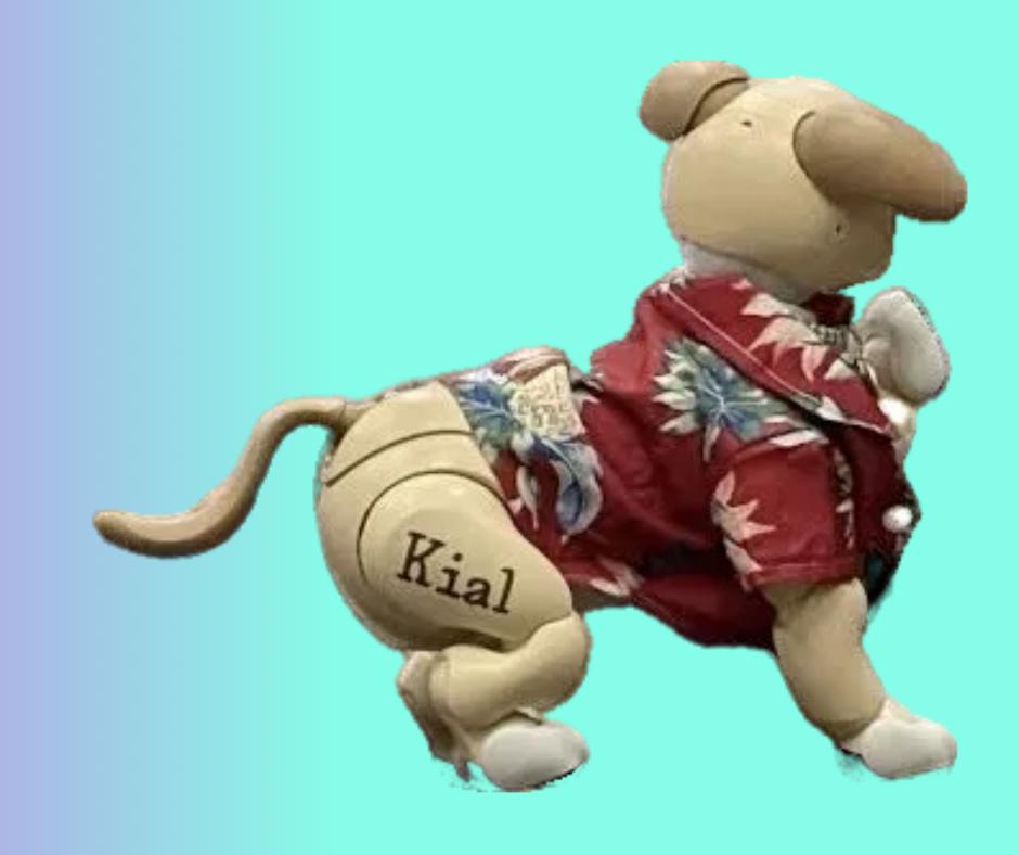 Personalized aibo Branding for Pups and Gear - Thumbnail 3