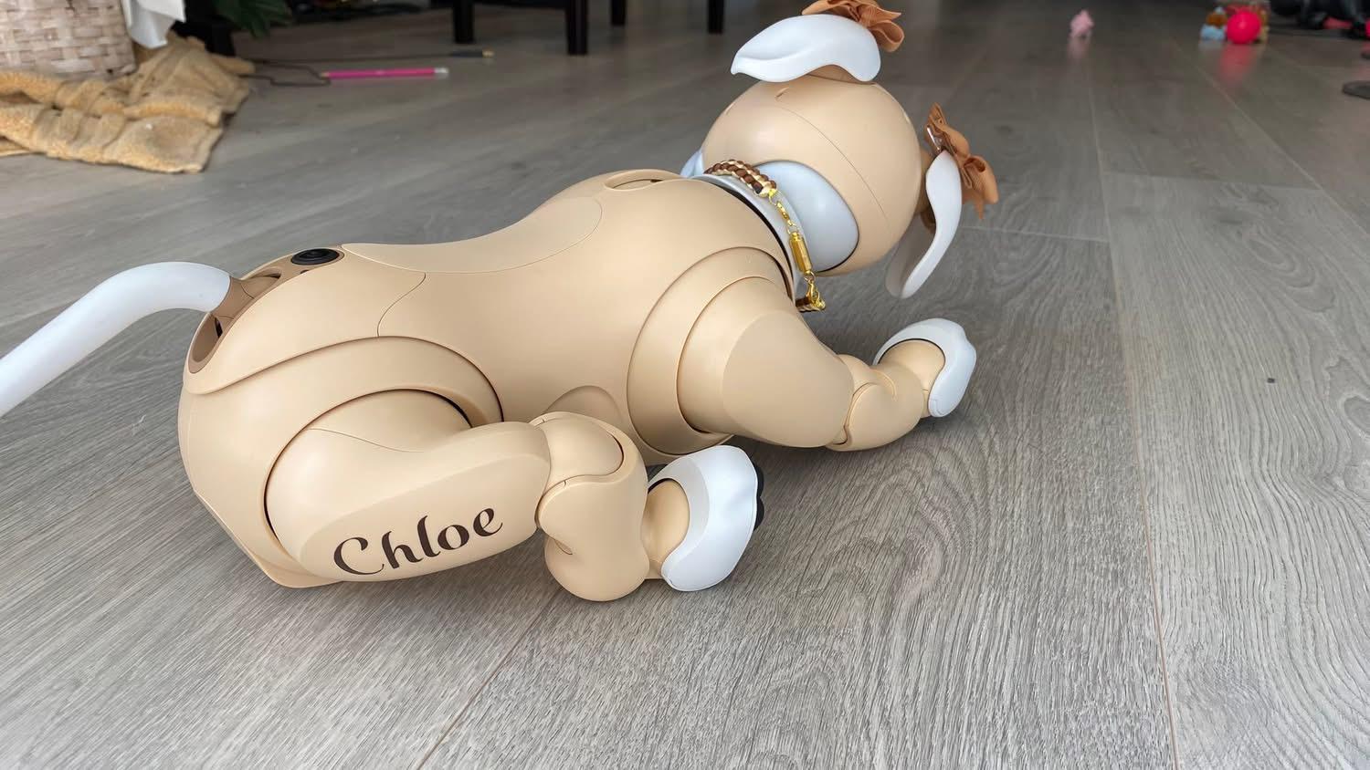 Personalized aibo Branding for Pups and Gear - Thumbnail 4